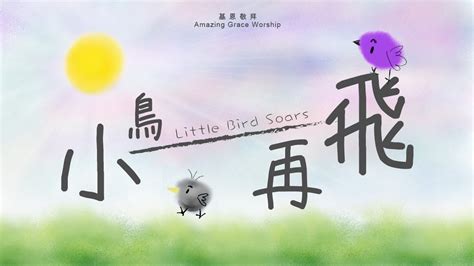 小鳥 飛|《小鳥再飛》Little Bird Soars